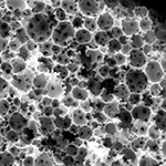 New Biomaterial gets “Sticky” with Stem Cells