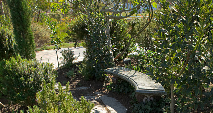 Bench surrounded by plants in Garden of Eden