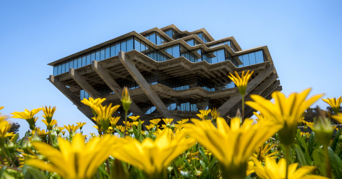 Geisel Library with yellow flowers in foreground