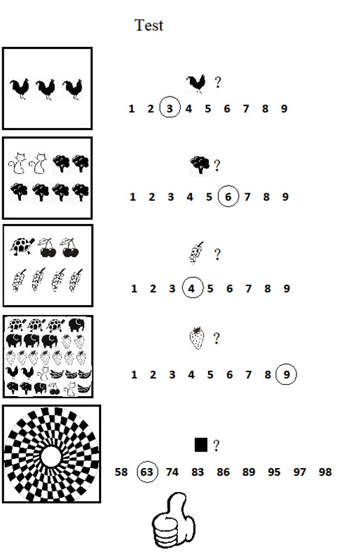 The answer key from the experiment.