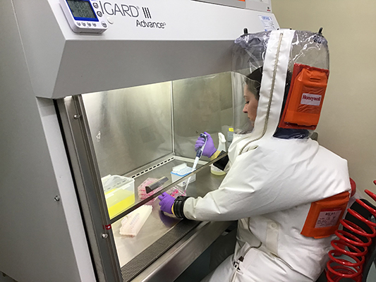 Researcher Anna Honko preparing the dilutions in deepwell plates at Boston University’s NEIDL