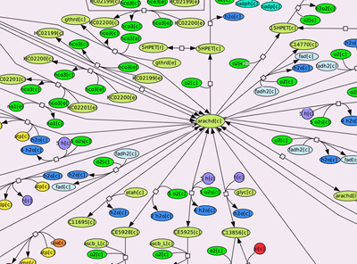 Graphic of linkages