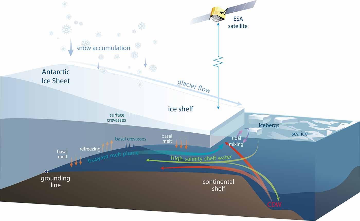 Photo: Schematic diagram of an Antarctic ice shelf showing the processes causing the volume changes measured by satellites.