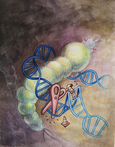 An artist’s depiction of Ifegenia, a new technology developed at UC San Diego that uses CRISPR genetic editing to disrupt a gene that controls sexual development in mosquitoes.