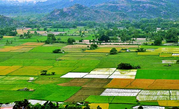 India farmland