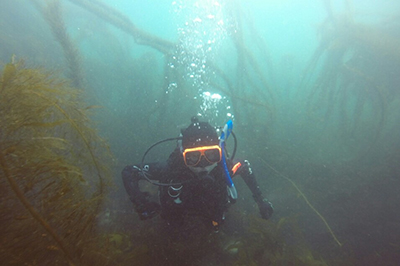 Jo Jo Lee diving