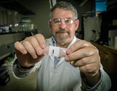 Joseph Wang holds up an example of the wearable sensors from his lab that looks like a self-adhesive bandage.