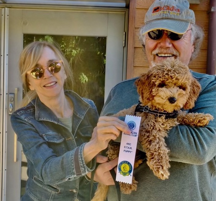 Woman in sunglasses with man holding a puppy with curly brown hair