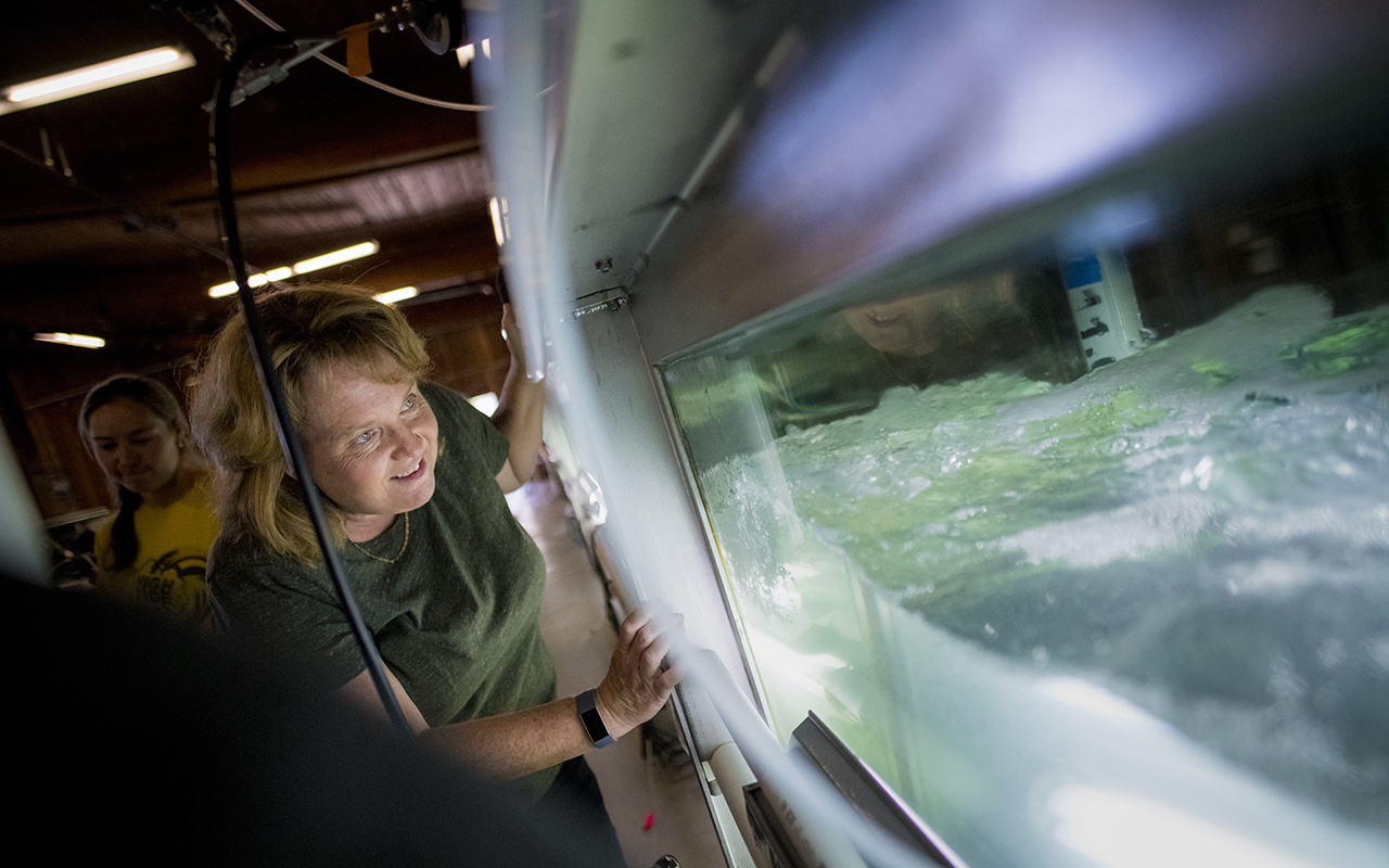 Kim Prather looking into aquarium filled with water.