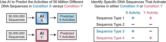 人工知能が遺伝子活性化研究を触媒し、希少なDNA配列を発見する(Artificial Intelligence Catalyzes Gene Activation Research and Uncovers Rare DNA Sequences)