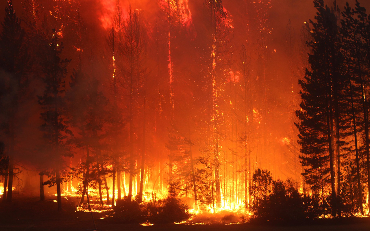 Fighting Fire With Fire in California, Science