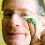 Science Detective Investigates Lizards and Evolution at Scripps Lecture