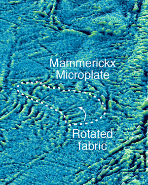 Image: Mammerickx Microplate closeup