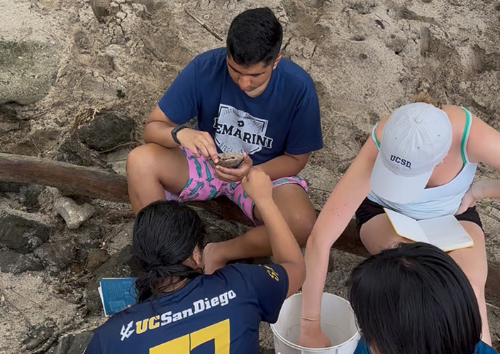 A group of four people sitting on the sand conducting hermit crab research.