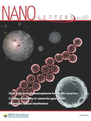Nano Letter June 2014 Cover