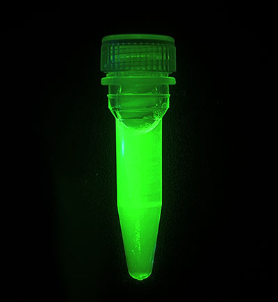 A glowing green tube