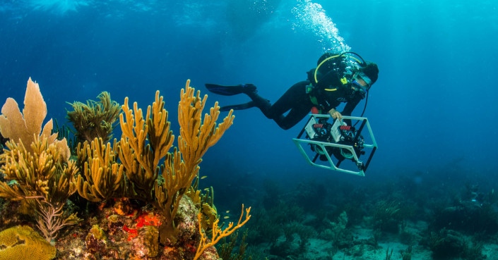 Researcher takes images of reef with underwater camera