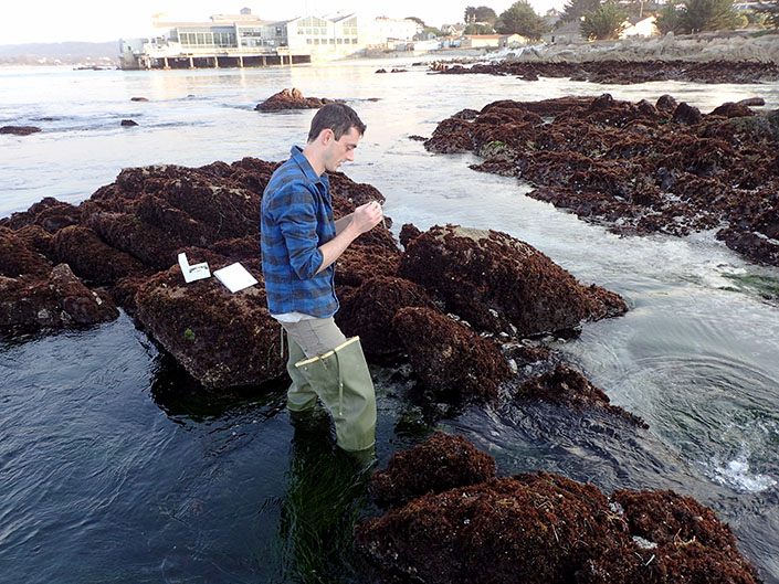 A man explores the tide pools with research equipment
