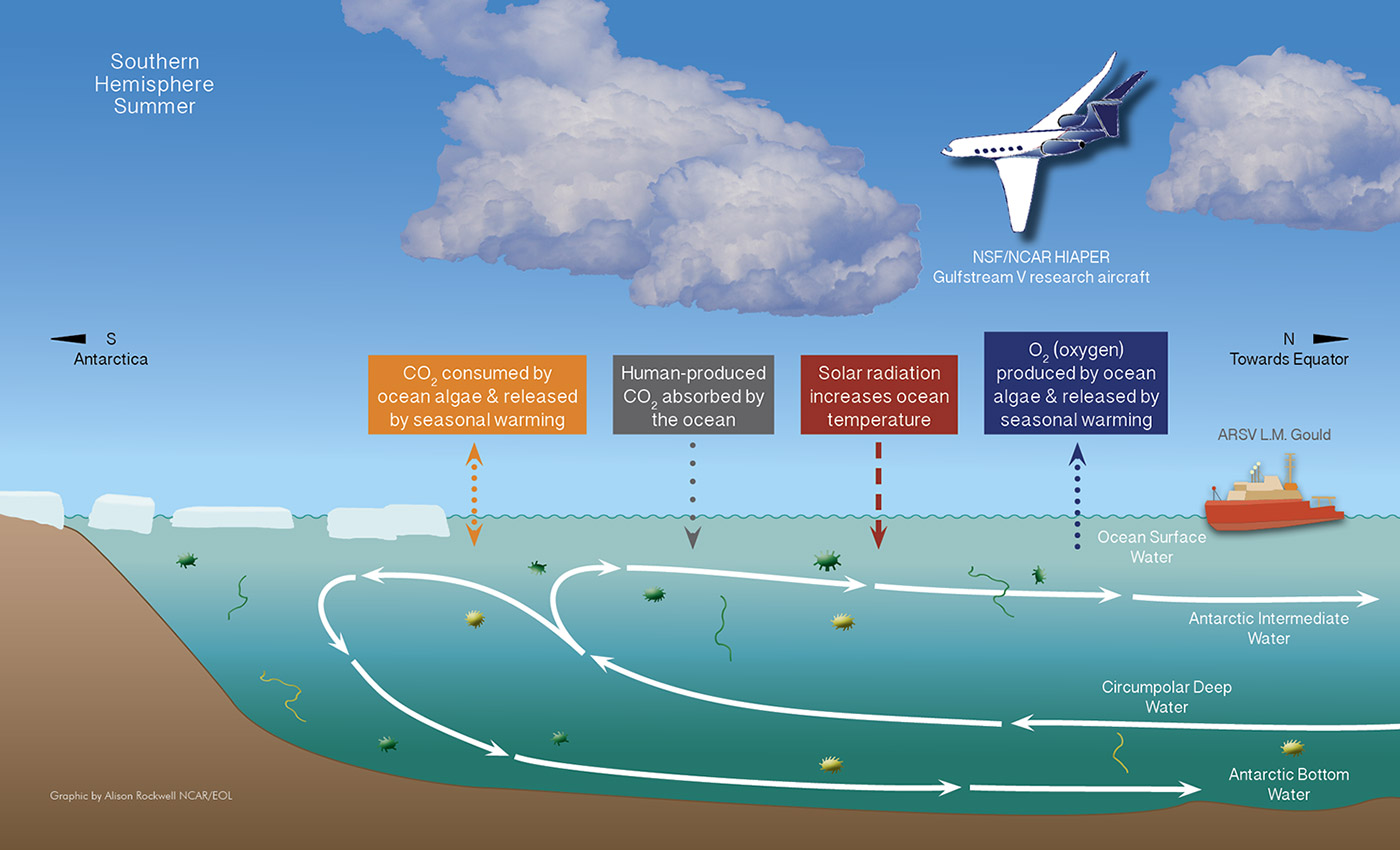 Image: Infographic of the ORCAS field campaign courtesy of Alison Rockwell/NCAR EOL