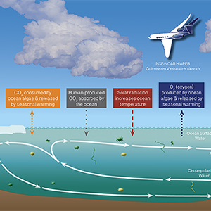 Flying Lab to Investigate Southern Ocean’s Appetite for Carbon