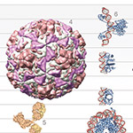 Protein Data Bank Archives its 100,000th Molecule Structure
