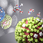 UC San Diego-Led Study Predicts Novel Approach to Battling Influenza