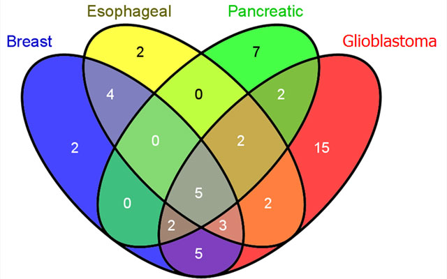 UC San Diego Study Points to Virus-Related Acceleration in Some Cancers