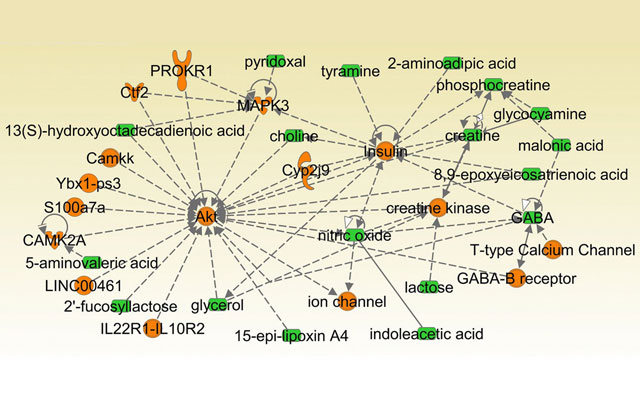 Using Machine Learning Models to Better Predict Bladder Cancer Stages