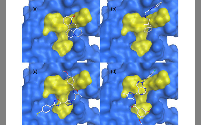 Known RAGE inhibitor (b-d) deep-learning selected compounds docked into the protein pocket