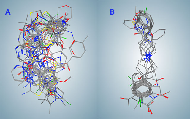 SDSC Team Models Potential SARS-CoV2 Protease Inhibitors for COVID-19