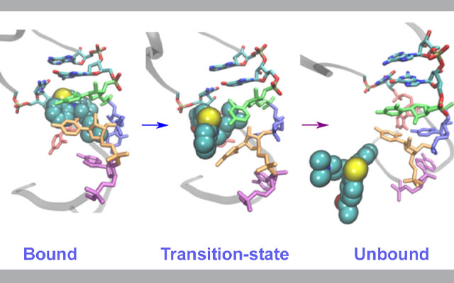 Supercomputers Simulate New Pathways for Potential RNA Virus Treatment