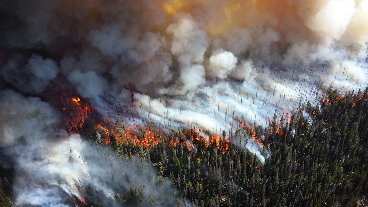 SDSC Researcher Co-Authors New Wildfire Progression Research