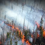 SDSC Researcher Co-Authors New Wildfire Progression Research