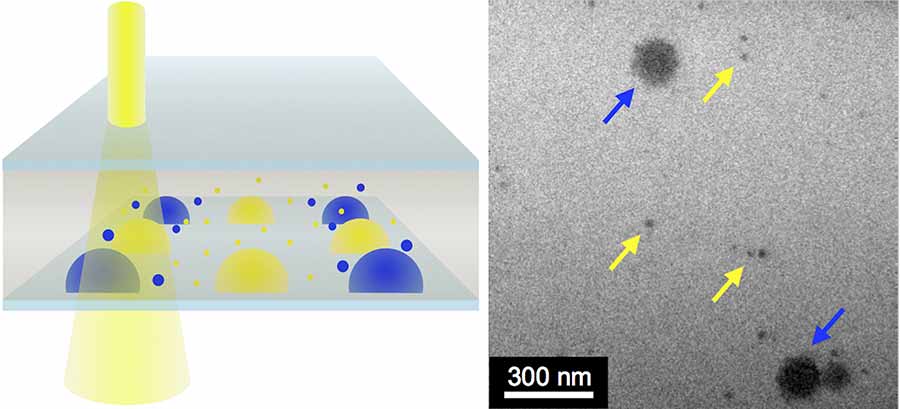 Image: By mixing combinations of gold nanoparticles (yellow arrows) with other nanoscale crystals (blue arrows) in the LCTEM (at left), the chemists showed their technique works