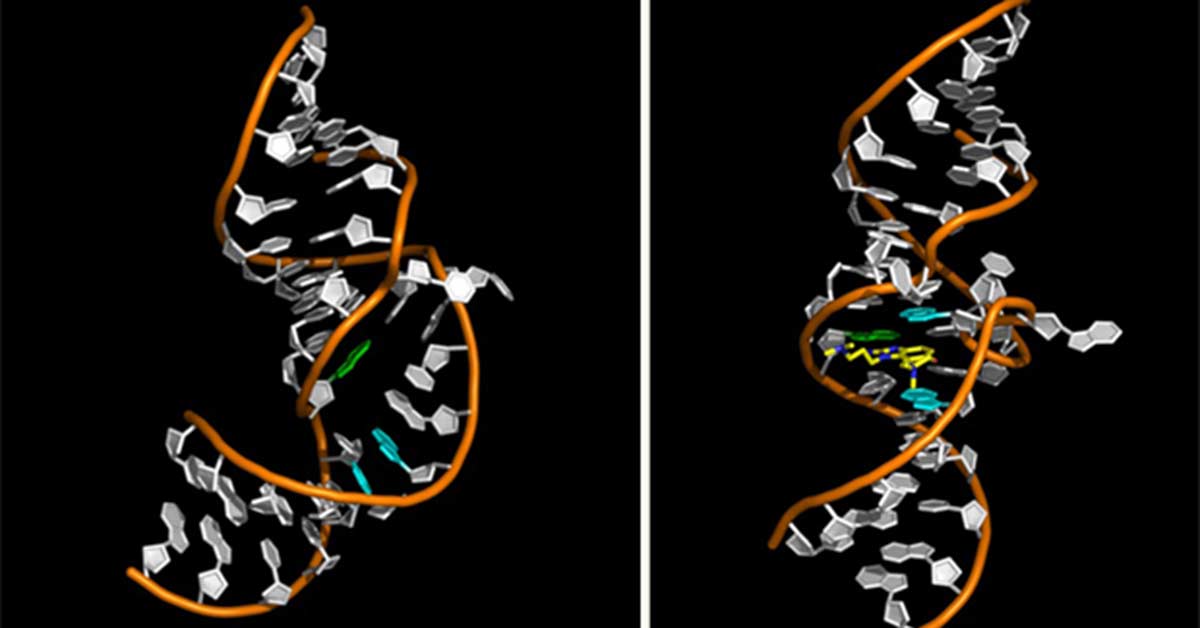 Discovery Provides Blueprint for New Drugs That Can Inhibit Hepatitis C Virus