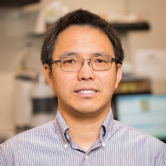 Portrait of Renkun Chen