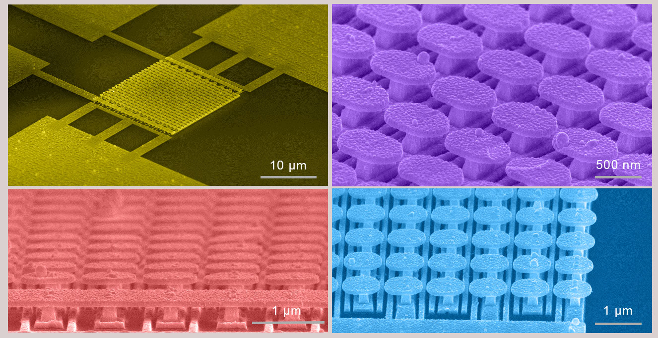 Scanning electron micrograph images of the semiconductor-free microelectronic device and the gold metasurface.