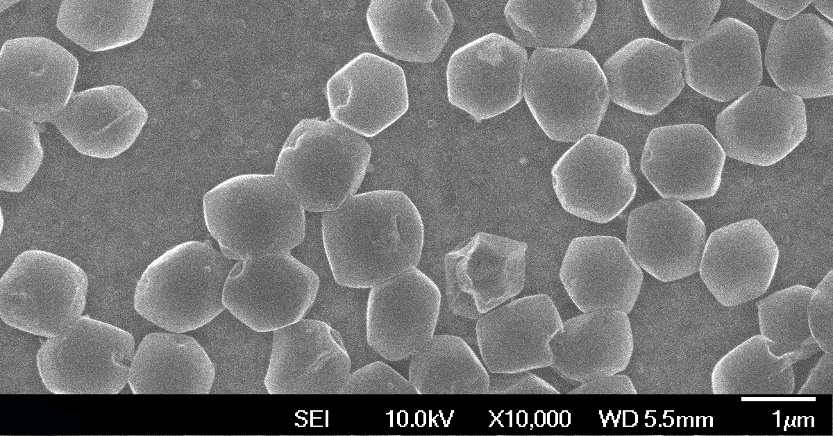 In this SEM image, large, uniform crystals of lithium metal grow on a surprising surface.