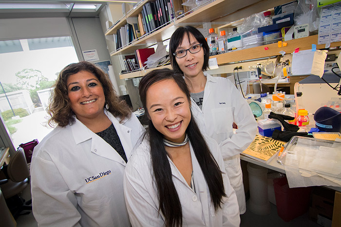 Undergraduate Mandy Che with mentors Dr. Sheikh and Dr. Liang