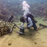 Researchers Develop Novel Microscope to Study the Underwater World