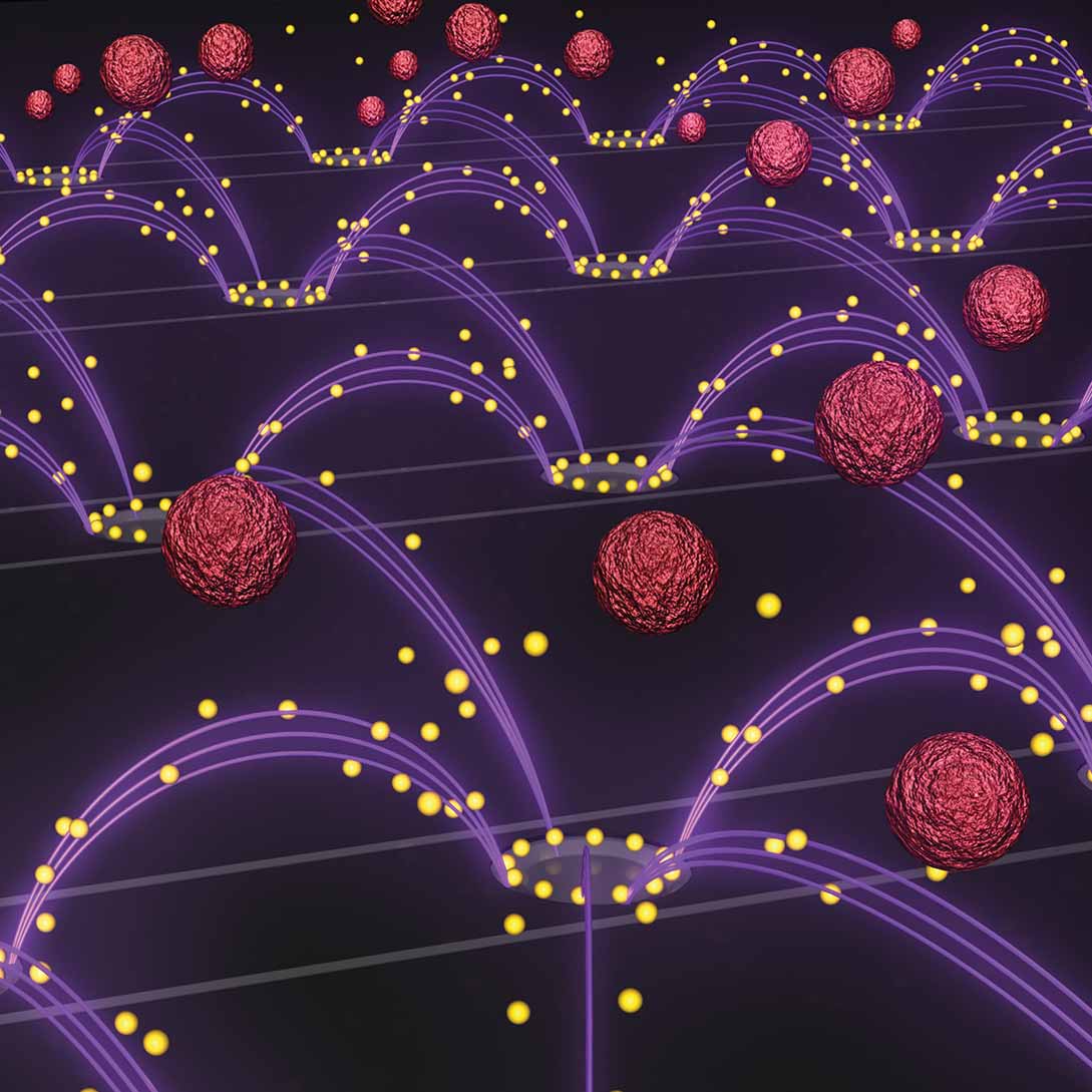 Electric Fields Remove Nanoparticles From Blood With Ease