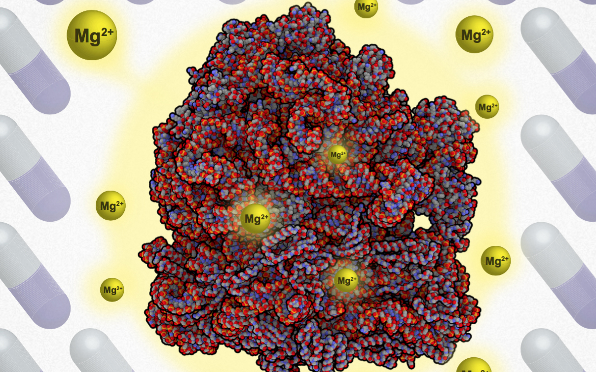 Researchers Discover a New Mechanism Used by Bacteria to Evade Antibiotics