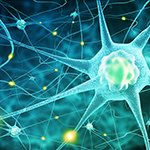 Experimental Drug Blocks Toxic Ion Flow Linked to Alzheimer’s Disease