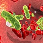 Macrophage Nanosponges Could Keep Sepsis In Check