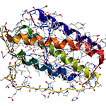 New Online Tool Gives 3D View of Human Metabolic Processes