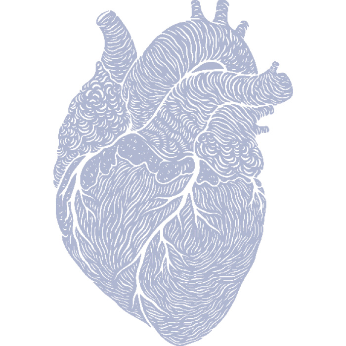 illustration of heart