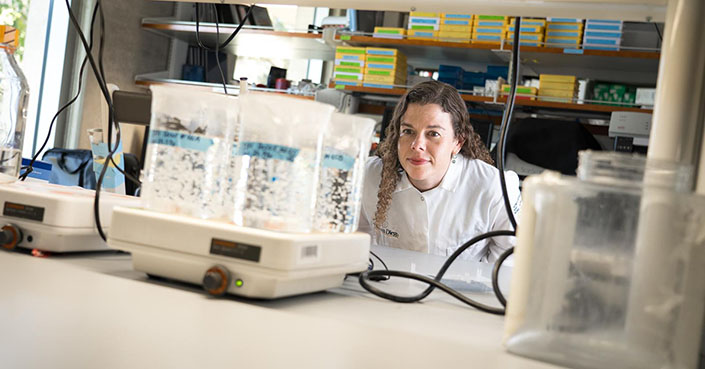 Karen Christman in her lab