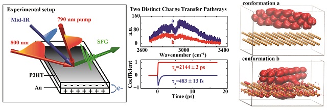 Experimental illustration, experimental results reveal two distinct spectral and dynamic responses