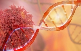 Artistic image of bacteria and DNA.