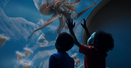 Rendering of two young aquarium guests gazing up into an expansive octopus habitat